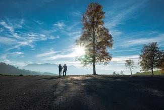 People under tree