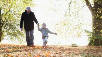 grandparent and grandchild holding hands and walking through a park together